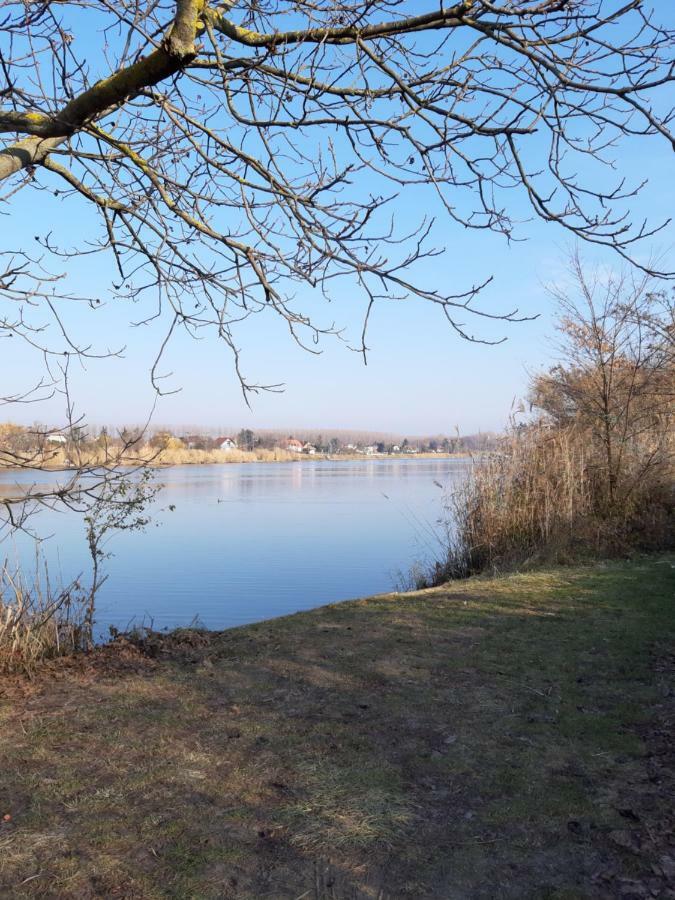 Andi Ueduelohaz Szolnok Bagian luar foto